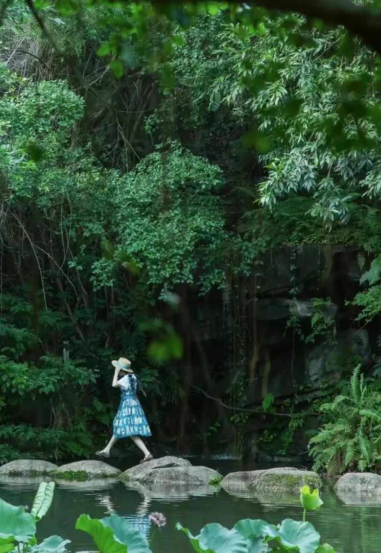 深圳避暑好去处,深圳大鹏夏日避暑胜地