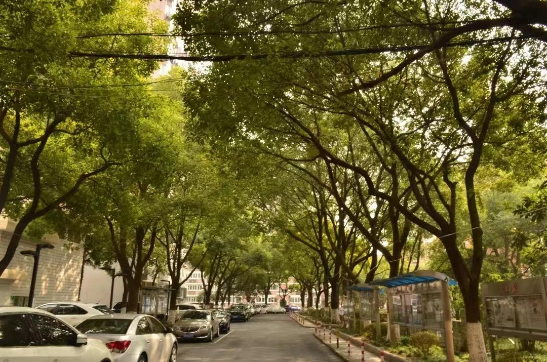 上海板块置业,上海千万级楼盘推荐