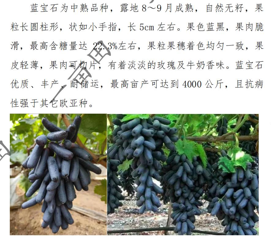 一亩田农产品大全,一亩三农产品