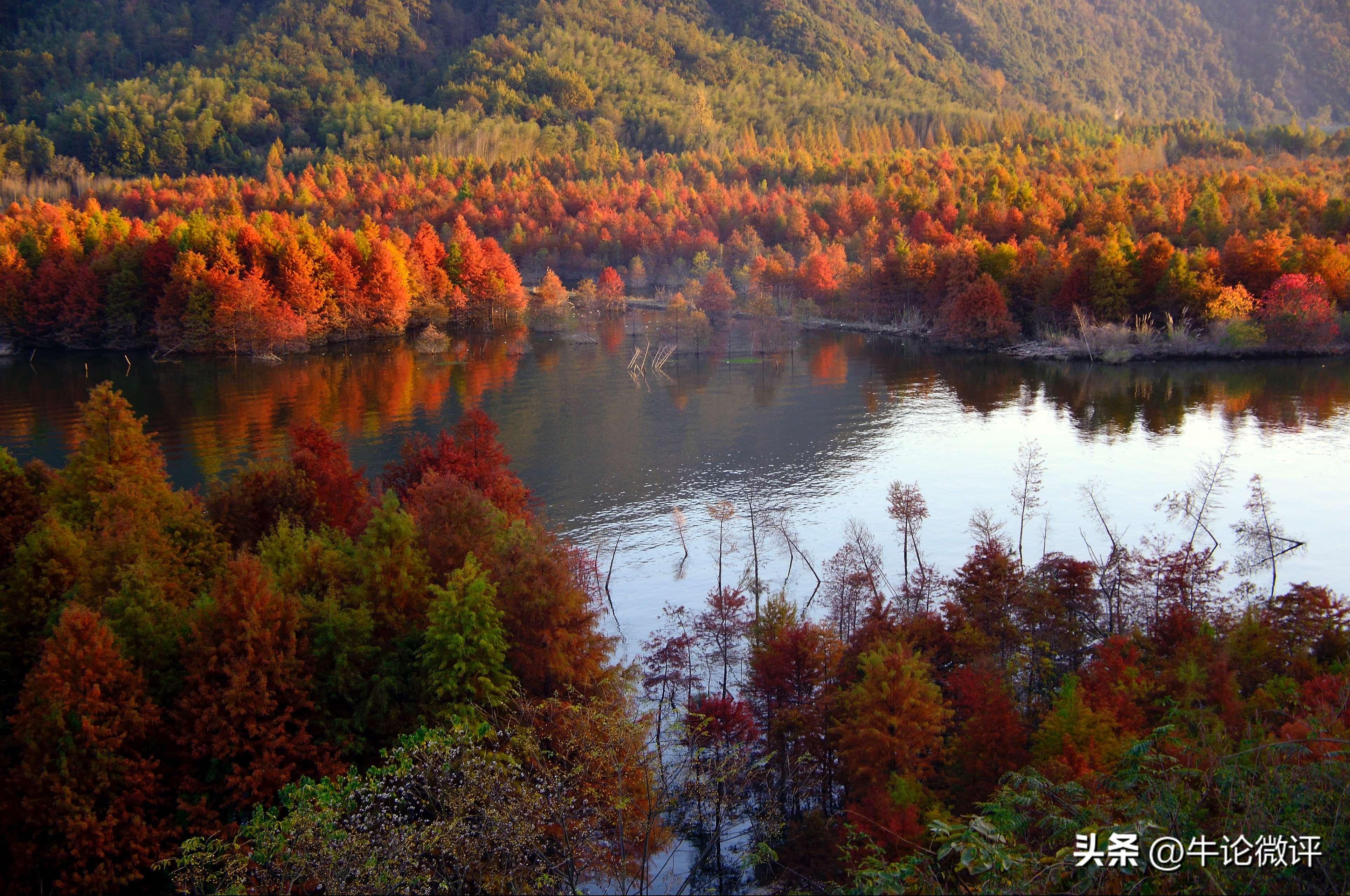 出国哪里不用签证不用护照,不需护照出国游