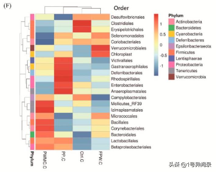 揭示用紫菇废菌堆肥产物作为补充剂对肉鸡肠道微生物、抗炎的影响