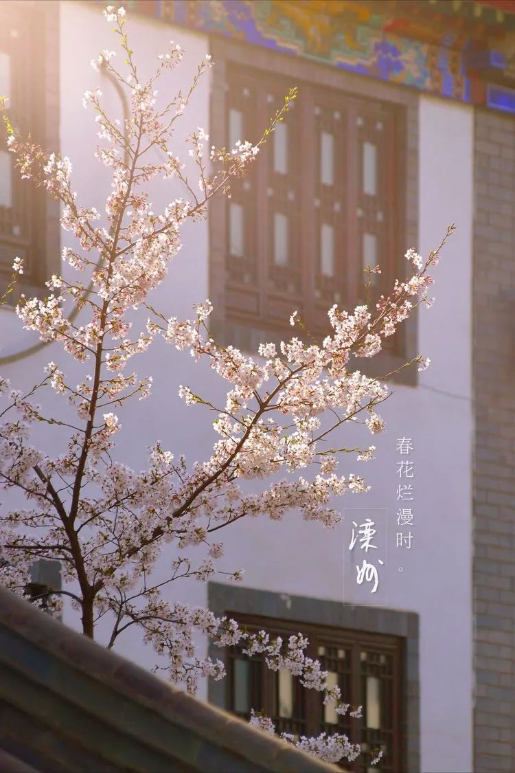 滦州古城都有哪些特色美景,滦州古城江南