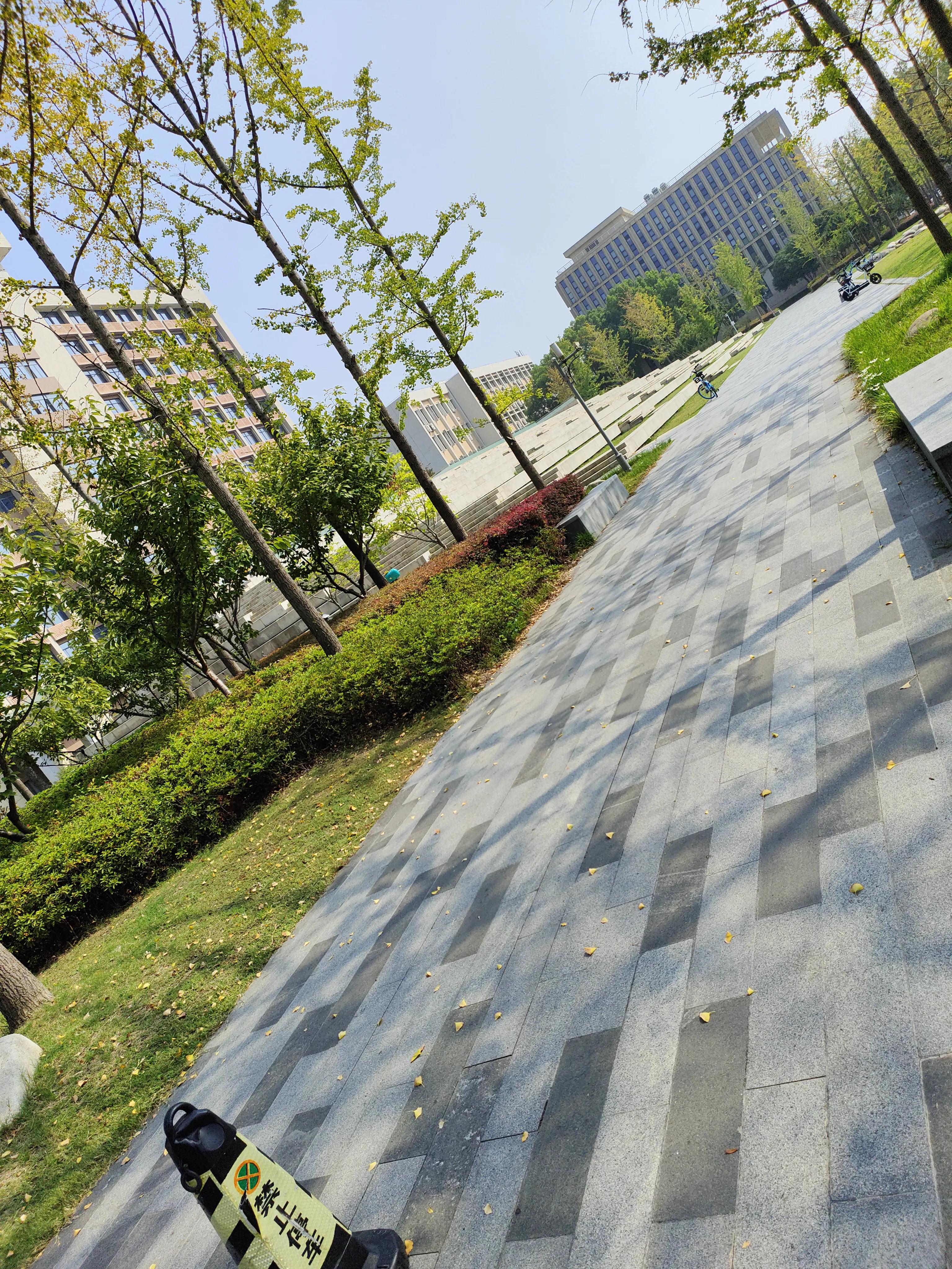 南京理工大学怎么看文献,南京理工大学专业怎么样