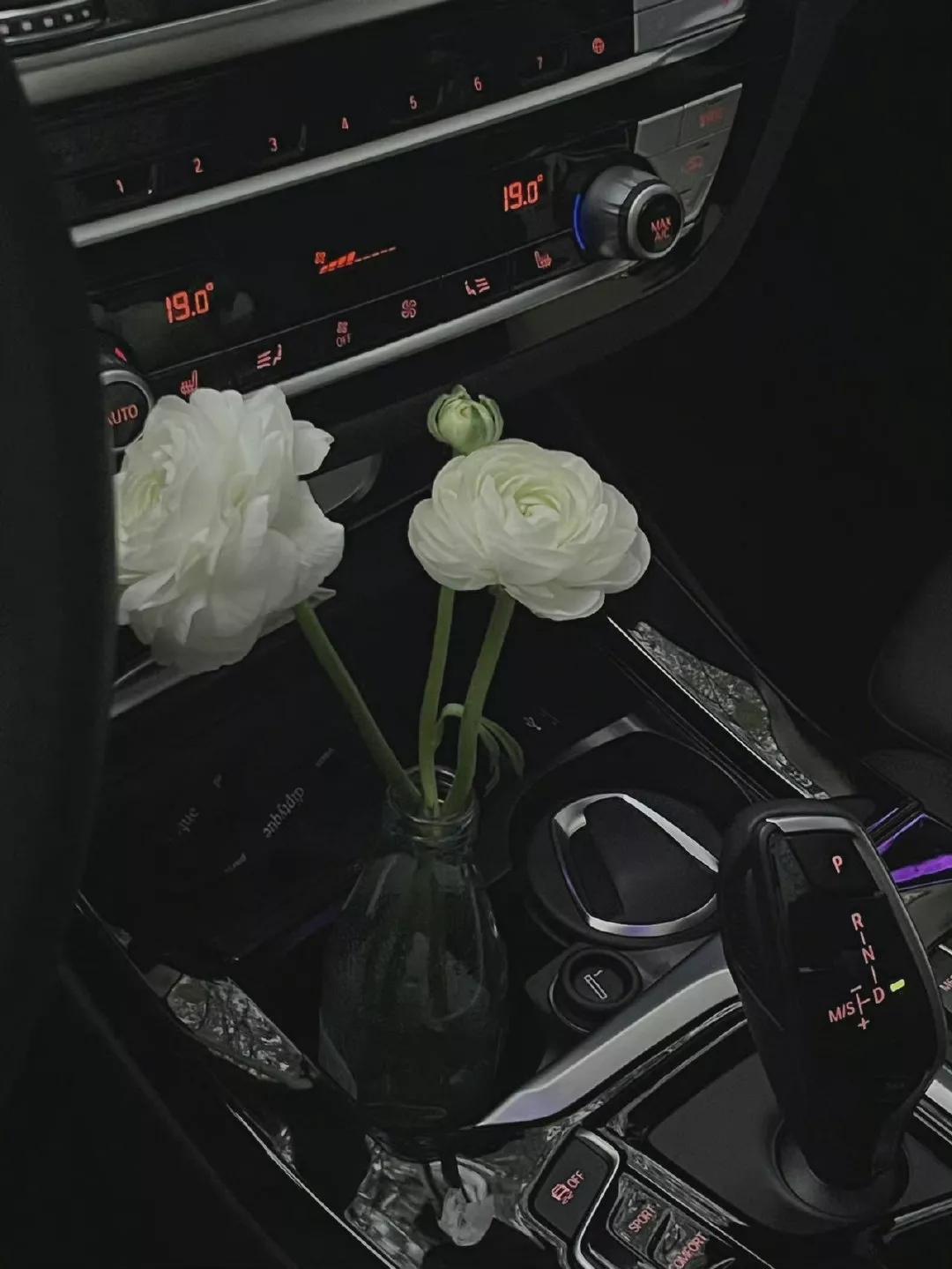 冬日午后阳光惬意文案,春日的慵懒和浪漫文案