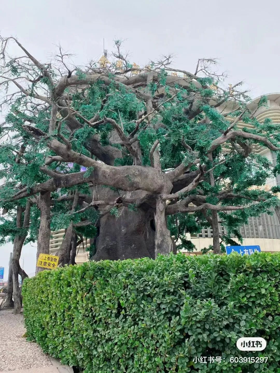 金街还在开吗,金街现在怎么样了