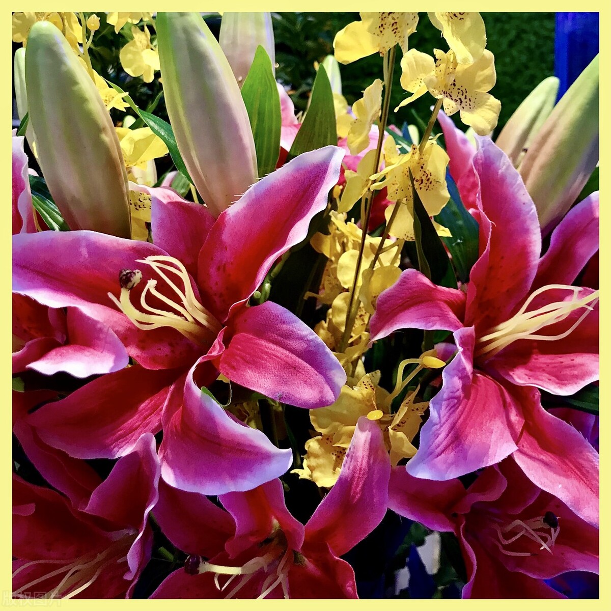 愿你今后的人生顺心顺意健康快乐,祝愿每个人都有幸福的生活状态