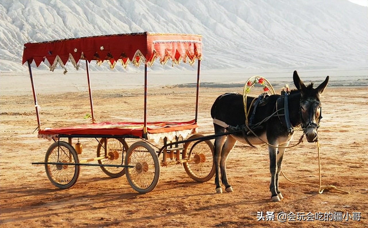 从新疆旅游回来都需要做什么,从新疆去内地旅游怎么划算