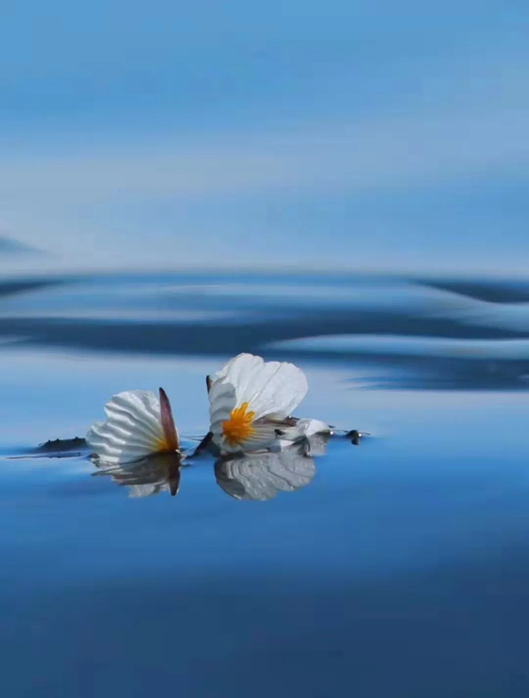 昆明七彩云南怎么样,七彩云南避暑家园