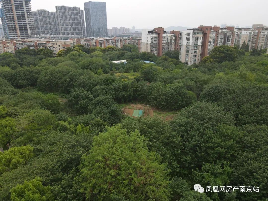 太危险！业主和渣土车“共用”出入口！骨灰盘荒废20年后重启，难