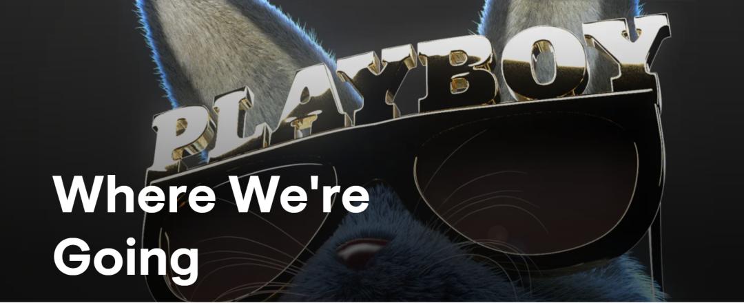 鑺辫姳鍏瓙鑵曡〃鎷嗗嵏,鑺辫姳鍏瓙鎷嗚В