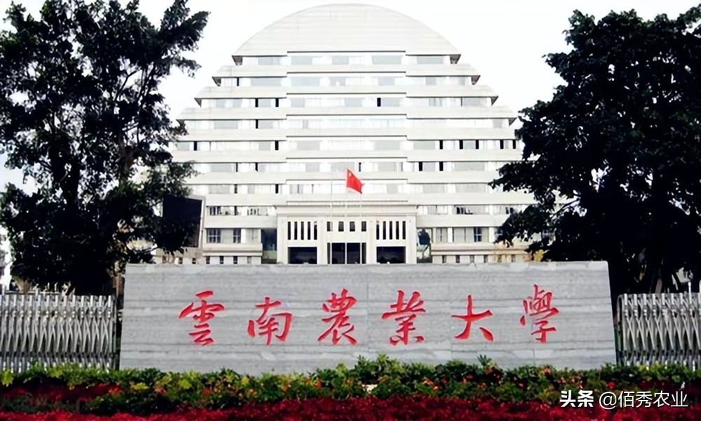 农村的父母为啥不让姑娘读研,农村的父母为啥不让姑娘念书