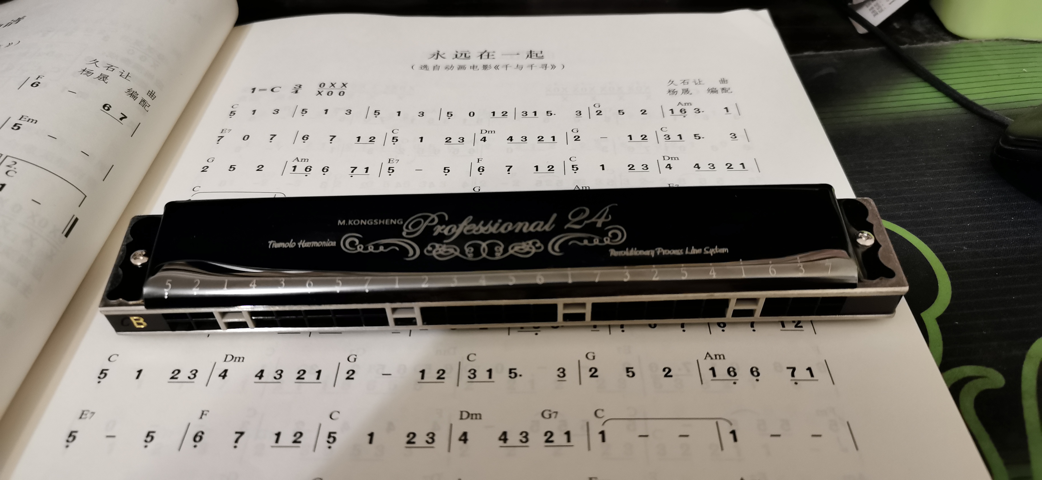 铃木口琴,铃木口琴经典款