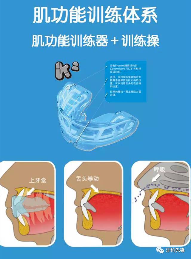 家长必知的儿童口腔知识,健康宣教口腔知识