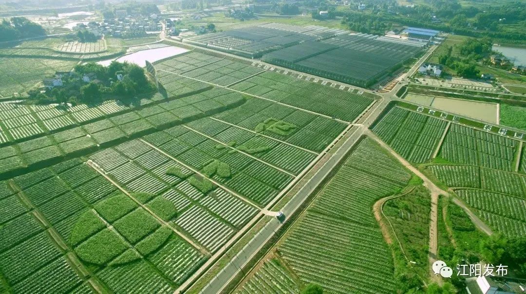 泸州古镇油纸伞,泸州春游景点有哪些