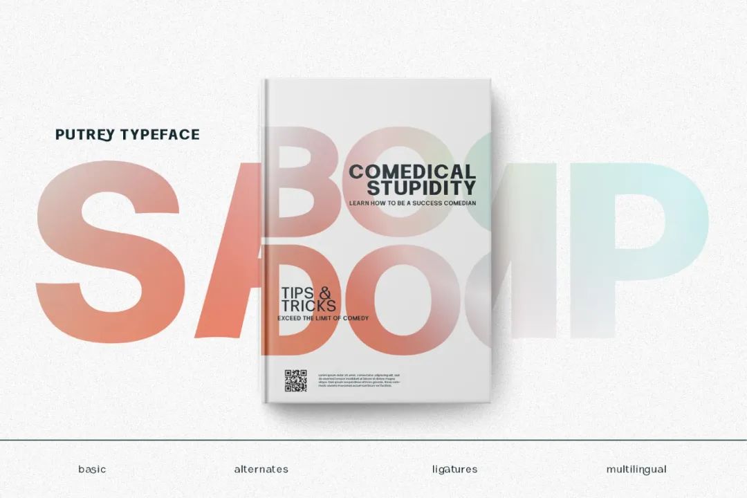 ttf纯英文好看字体,ttf英文字体