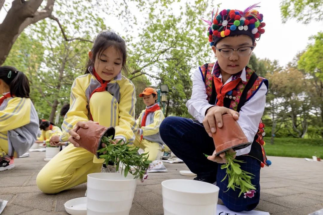 西单小学西城金融街,西单小学