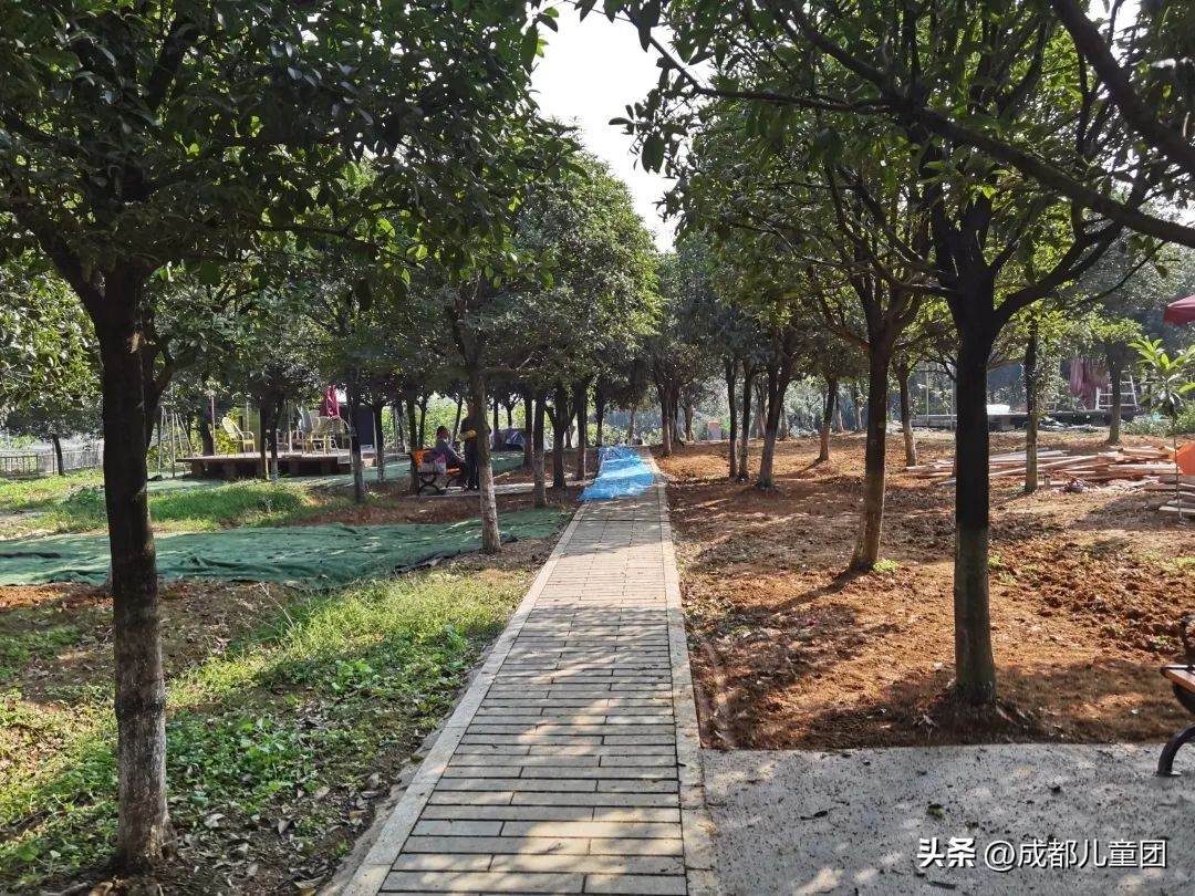 成都温江橘子采摘园推荐10月份,江苏附近橘子采摘园有哪些地方