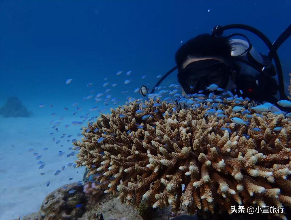 快看！西沙游轮航线有变化！长乐公主号游轮最新行程出炉