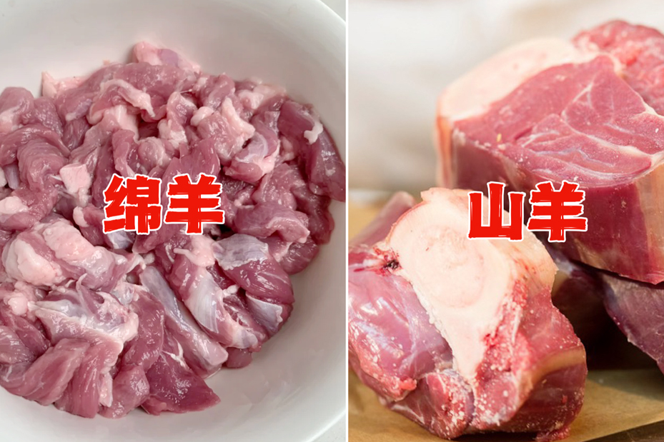 买羊肉买山羊还是绵羊好,山羊绵羊哪种羊肉更有羊膻味好吃