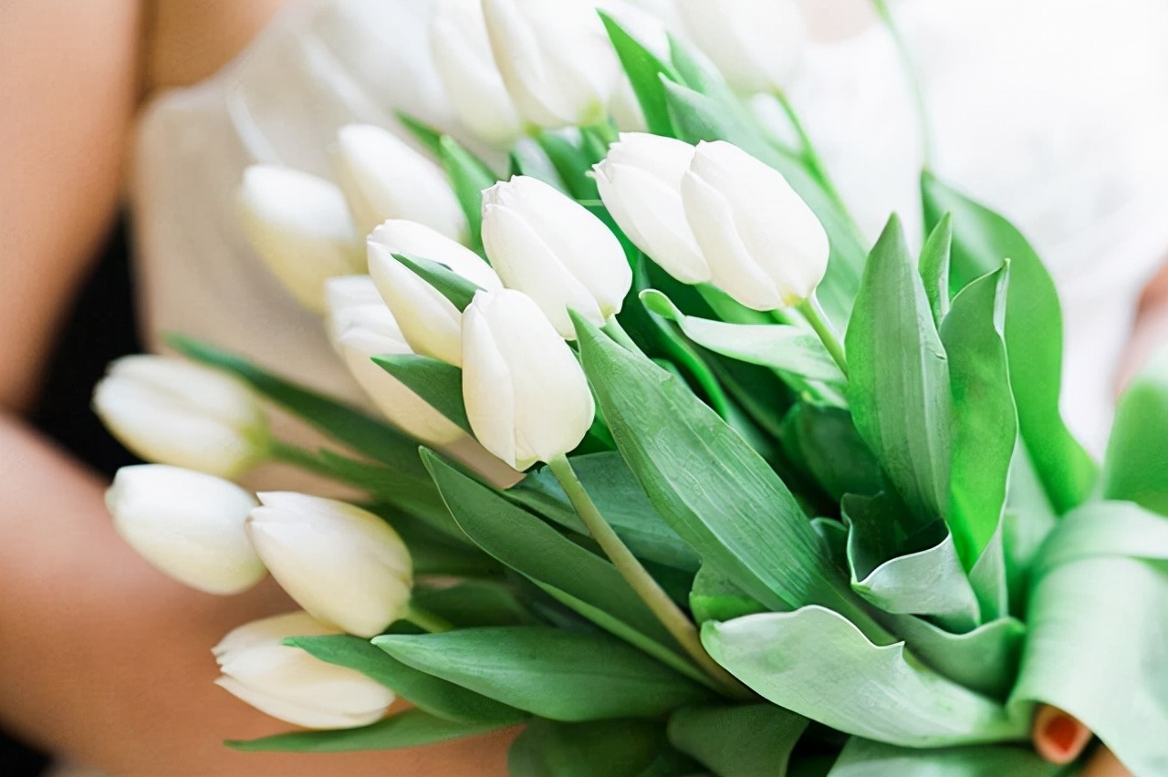 面善心黑的人不值得去深交,经常把三句话挂在嘴上的人