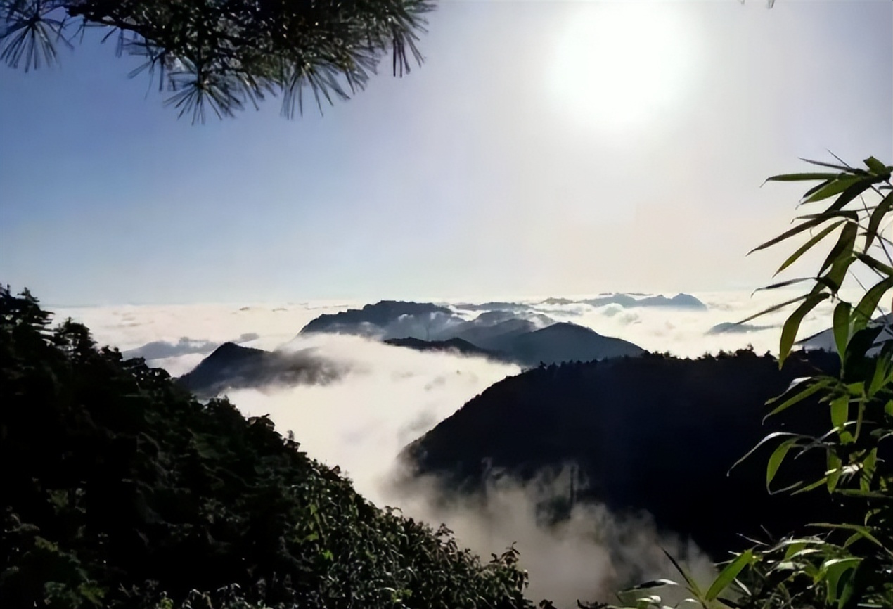 鍏板窞闄囧崡浜斾竴鏃呮父璺嚎鏀荤暐 (闄囧崡浜斾竴娓哥帺鏀荤暐)