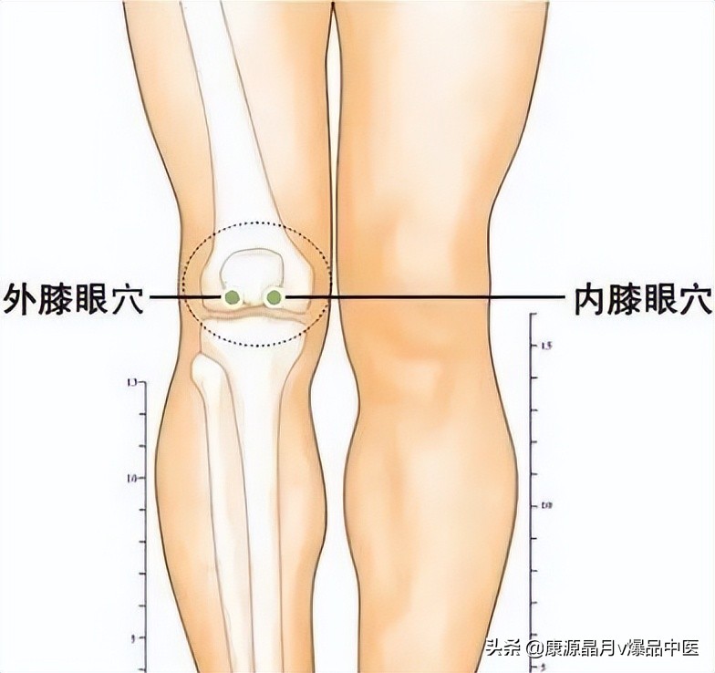 中医精华之人体特效穴,经外奇穴69个疑难杂症图解