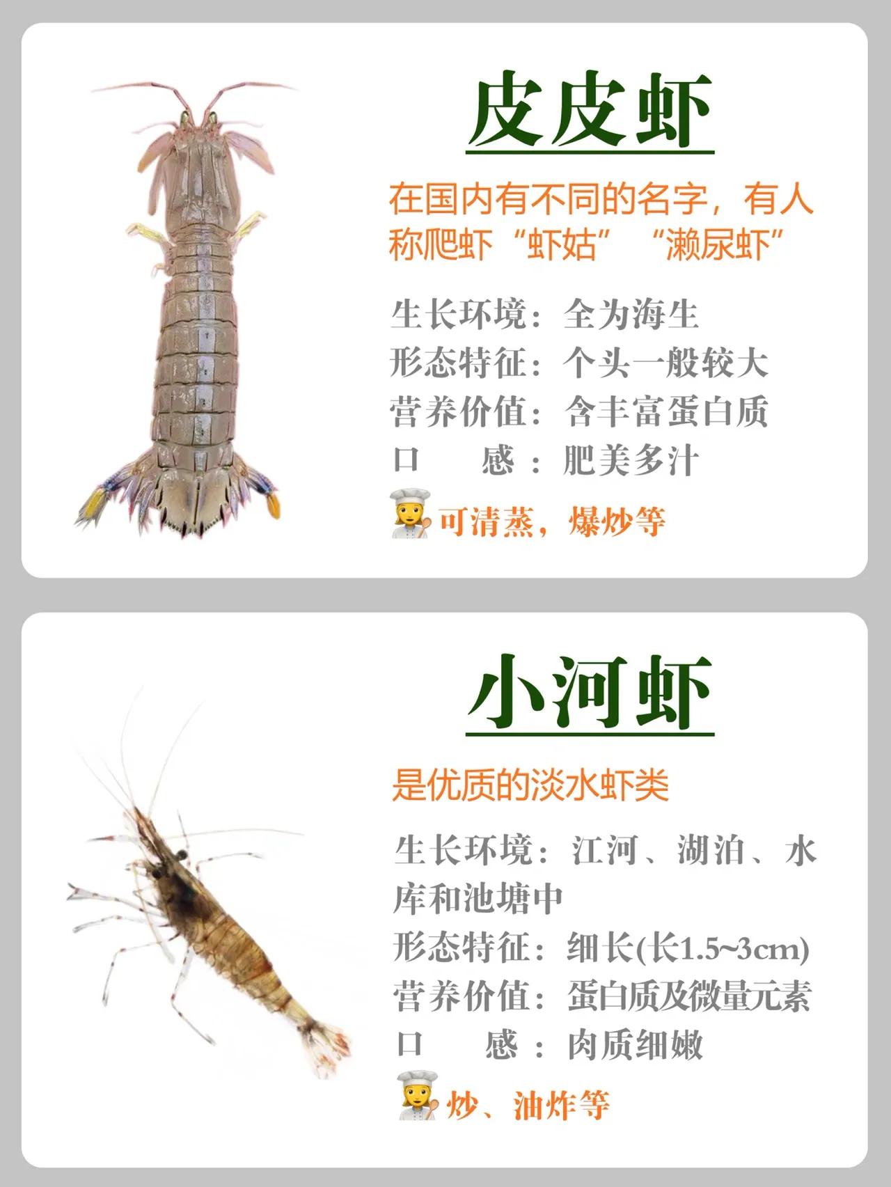 虾的营养价值及功效与作用吃法,虾的营养价值及用法