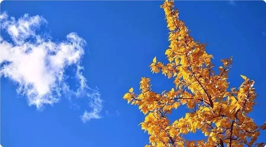 24节气秋分手抄报内容,24节气秋分闽南语解说