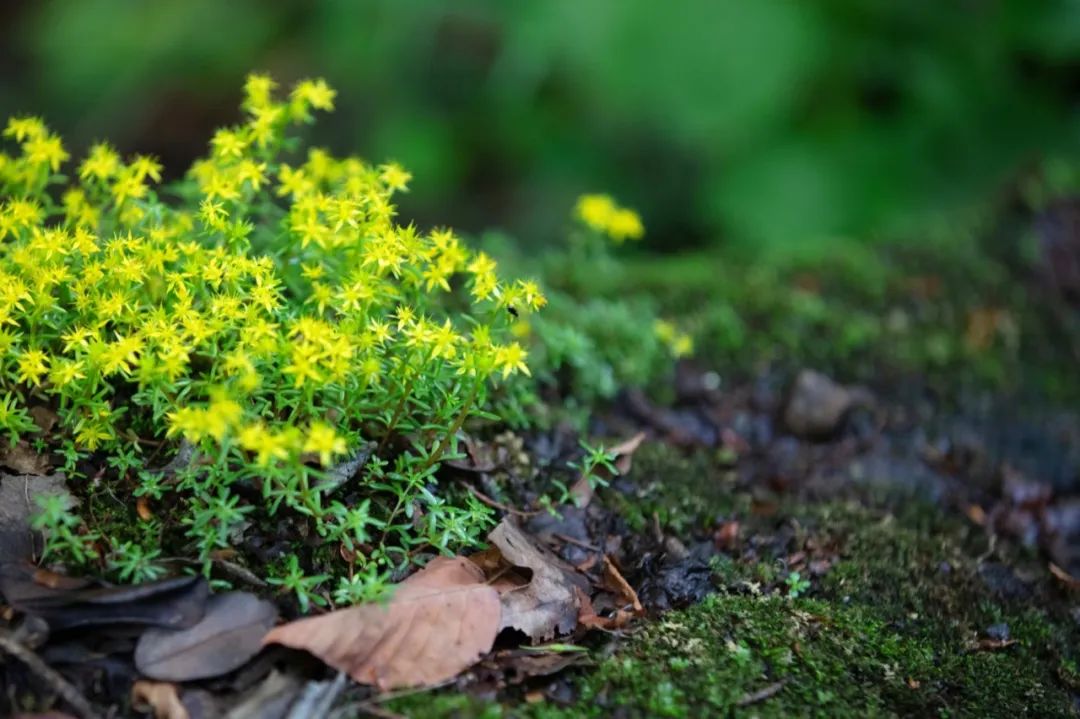 汉中旅游攻略两天一夜品汉中美食,汉中市旅游攻略亲子游