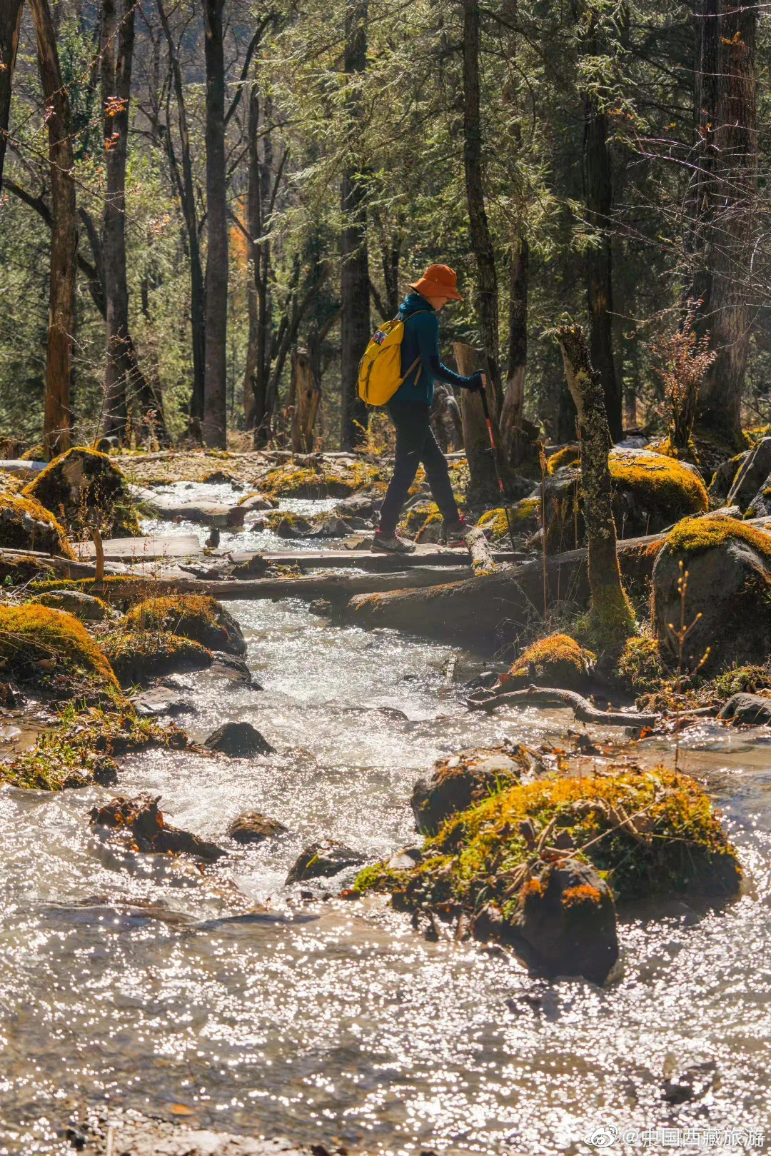 错过了十月的*藏西**，你就错过了这个星球最壮丽的秋色