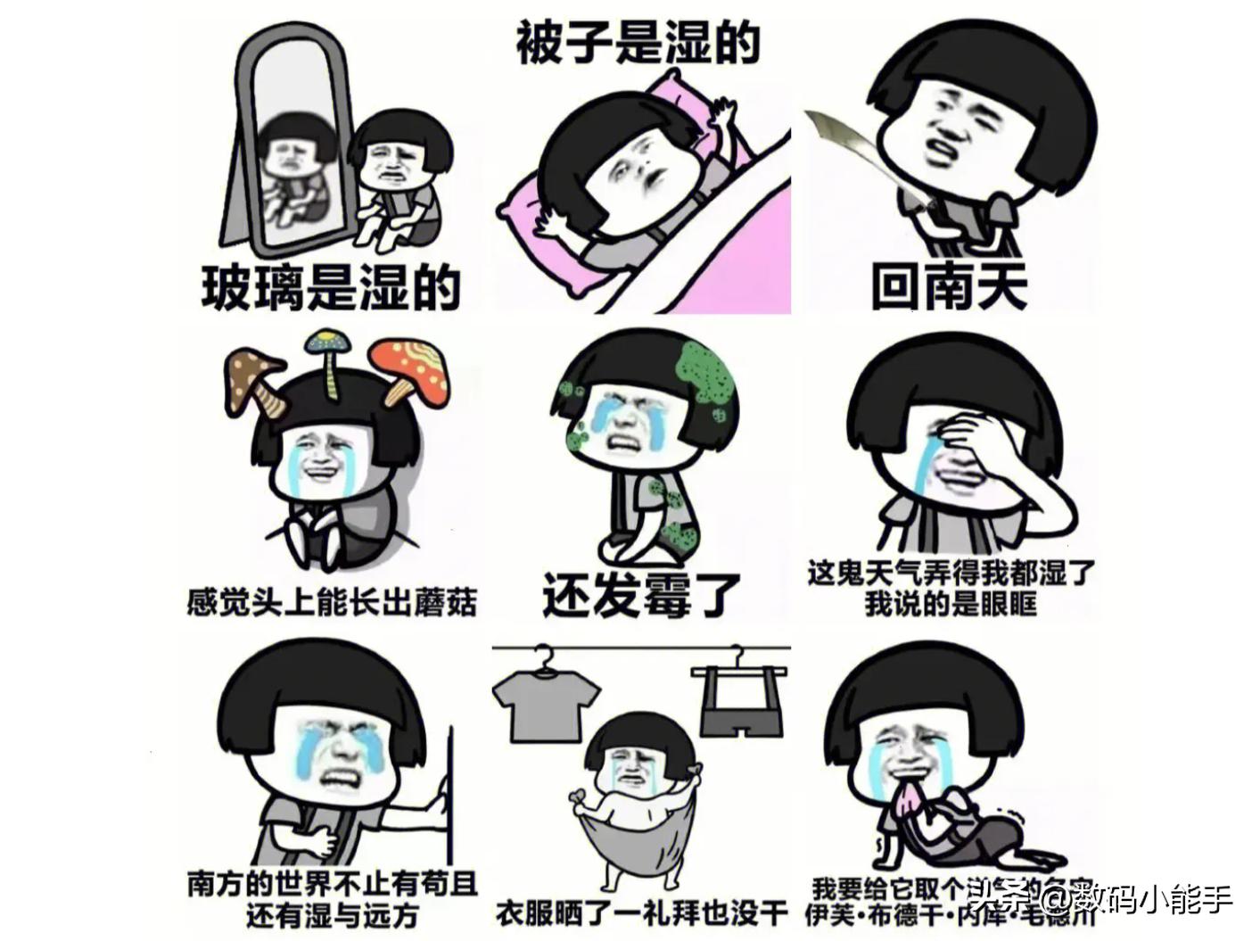 除湿防潮机是不是智商税,除湿机是不是智商税