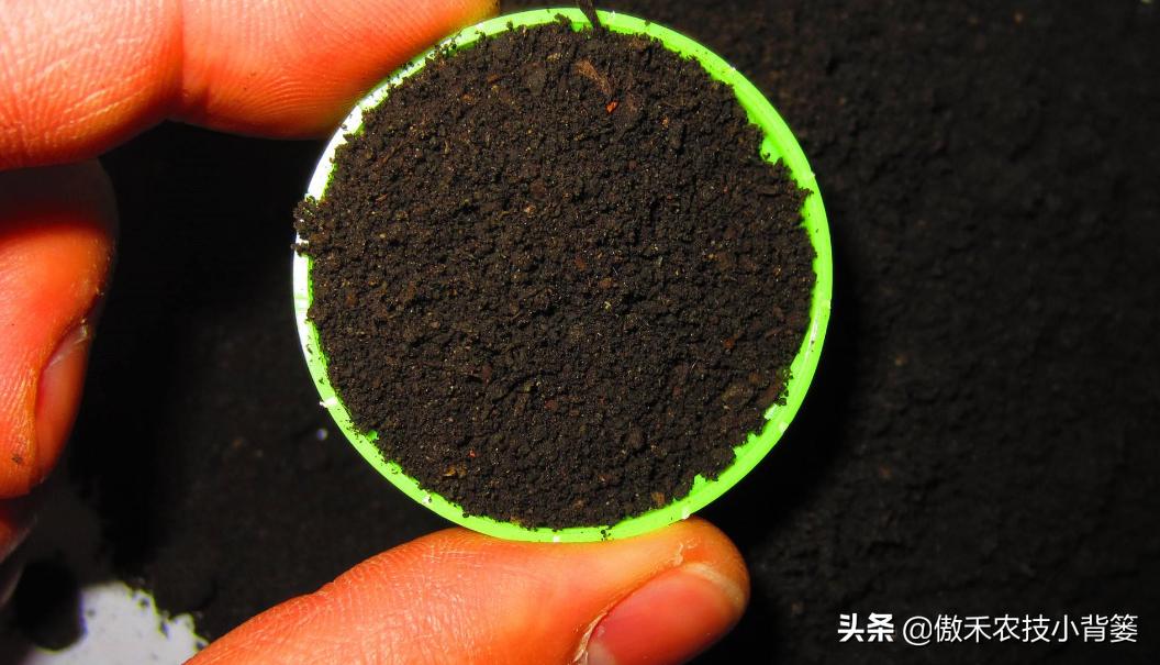 菌肥和菌剂的区别,菌肥与有机肥的区别