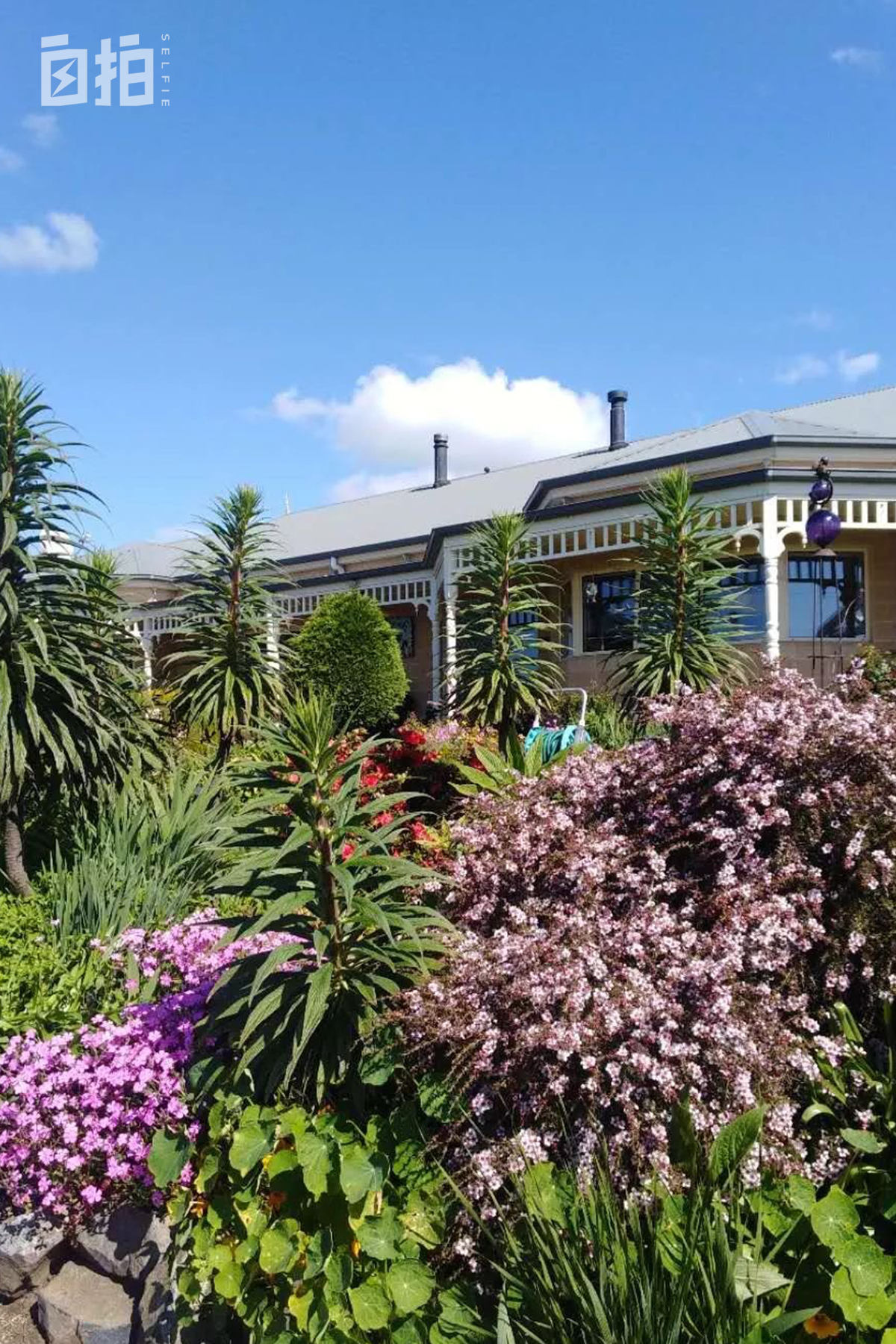 我，劳碌一生，50岁后追寻自由，打工旅游7年，尝试跳伞冲浪