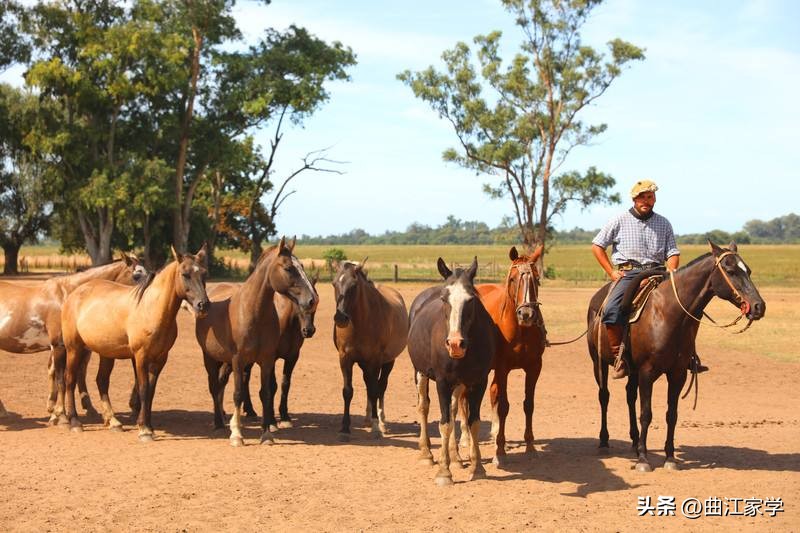 阿根廷的气质,阿根廷的气质是与生俱来的