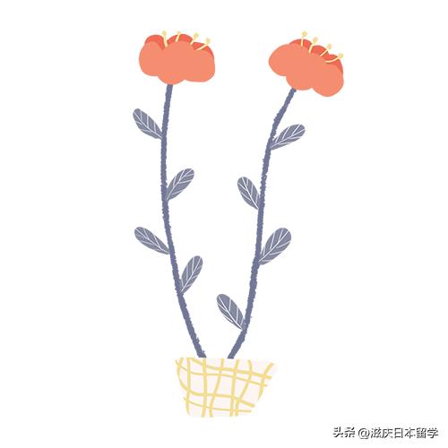 日本高中填报几所合适？（内附择校指南）