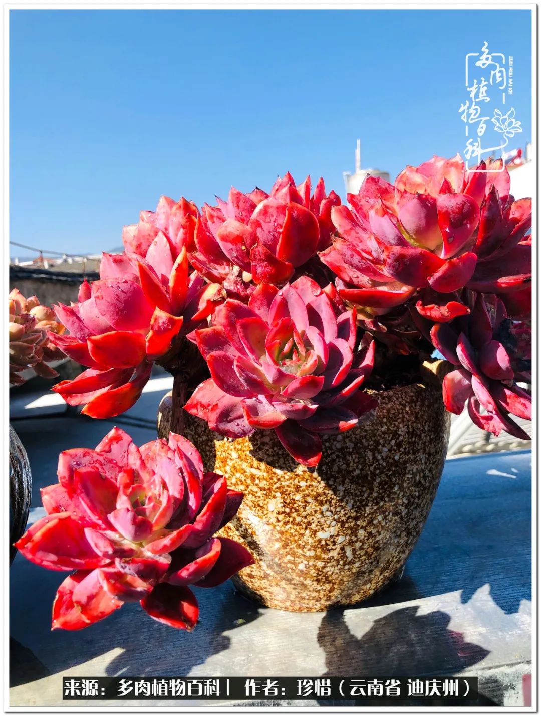 给生命一份淡然还岁月一份从容,给生命留一份洒脱的话