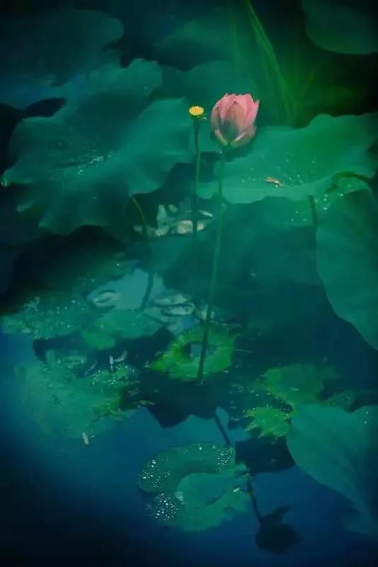 蓝色海景壁纸图片大全,海景壁纸4k超清全面屏