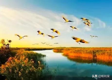 七律雪莲花的诗,七律长白山林海