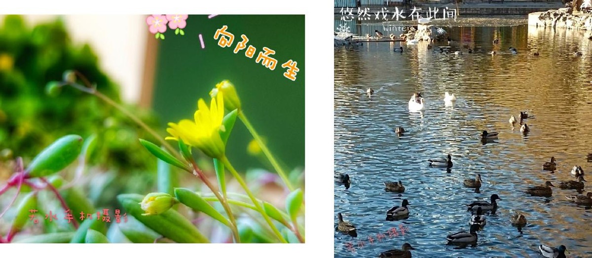 随手拍清晰横拍,手机拍照功能拍出好看的照片