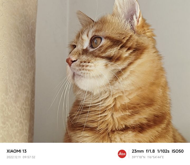 小米13使用一年测评,小米13上手真实测评