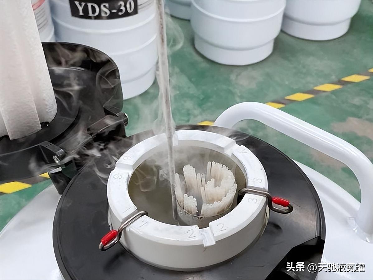 液氮罐不需要放冷冻库吗,液氮罐里液氮没了对细胞影响