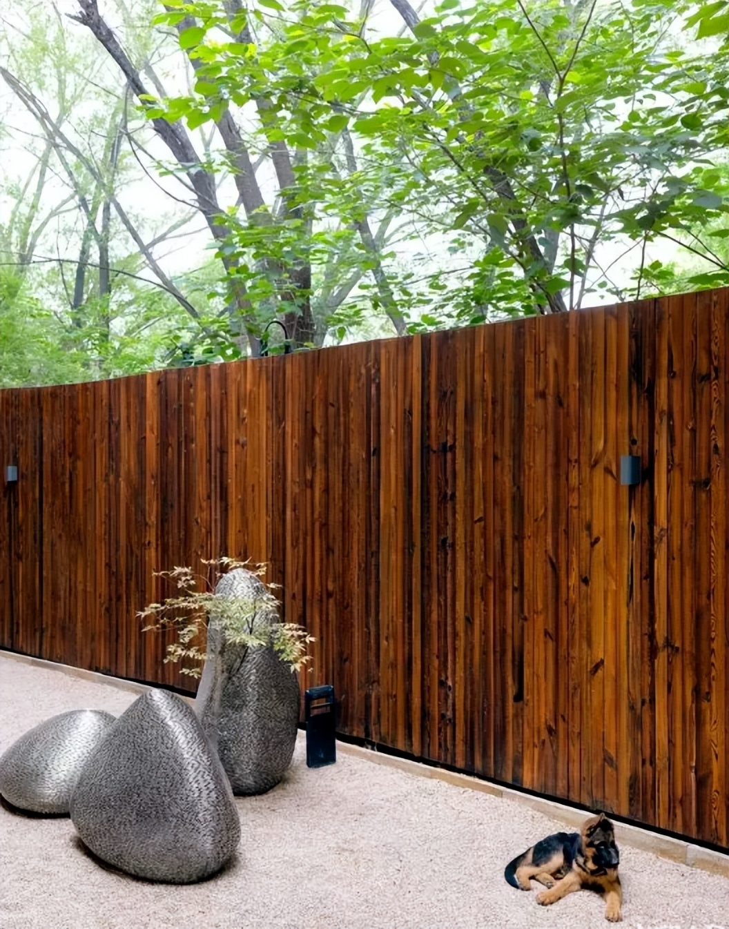 导演张静初和蒋雯丽,王家卫张静初蒋雯丽事件