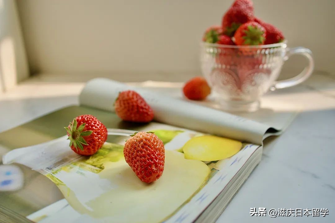 致想去日本留学实现梦想的你,高中毕业去日本留学学护理