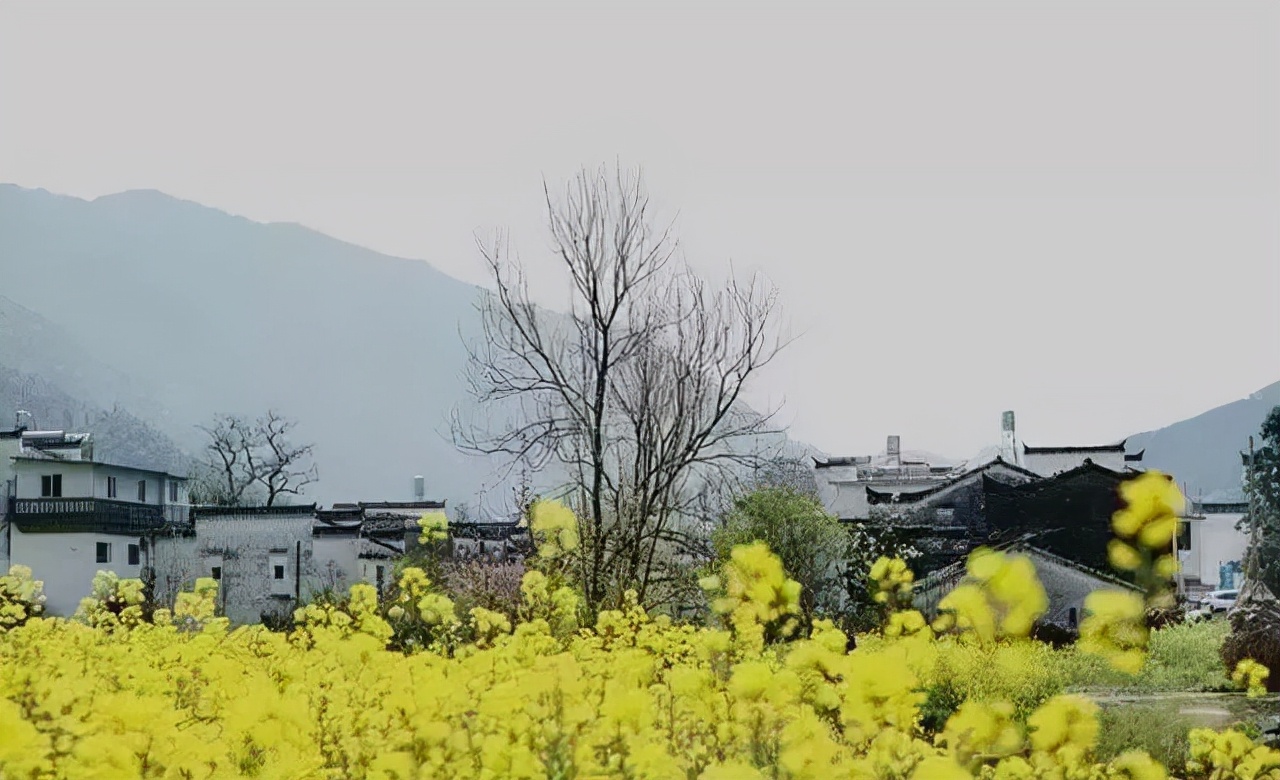 一个院子，一家民宿，闲度余生