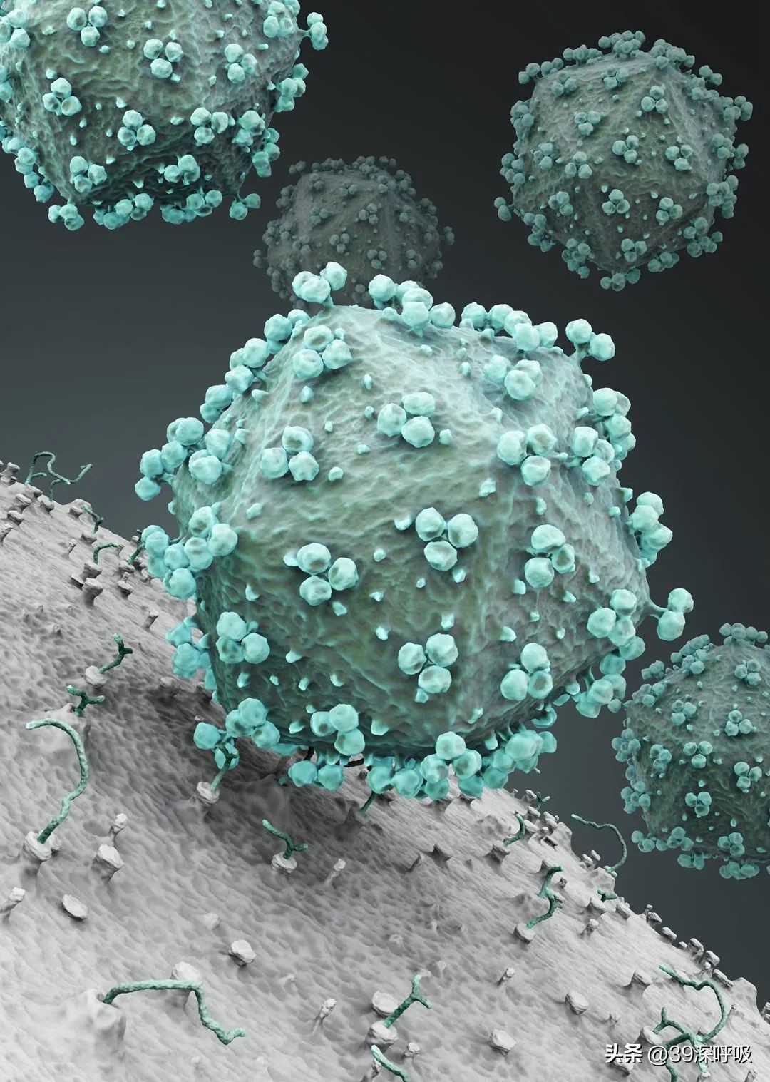 全球第5例艾滋病治愈者出现,全球第2例艾滋病感染者自愈案例