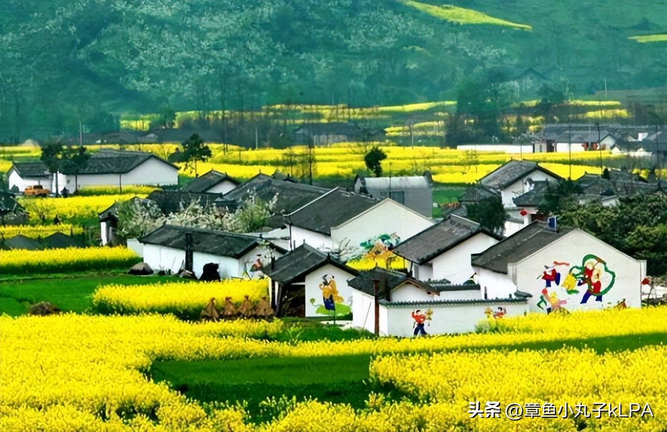 未来农村四大工程全面开建,2022年农村5大工程将实施