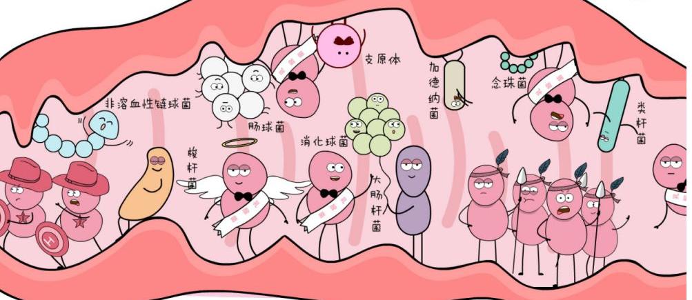 女士外阴瘙痒多是什么原因导致,女外阴瘙痒一般是什么原因引起的