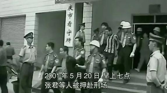 悍匪张君案覆灭记,悍匪张君大案纪实