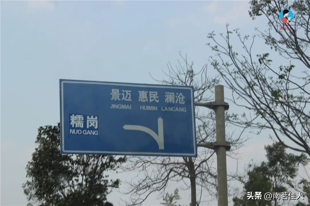 普洱茶一山一味什么意思啊,普洱一山一味是什么味