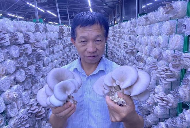 一谷一城乡村振兴强大引擎,乡村振兴星光行动